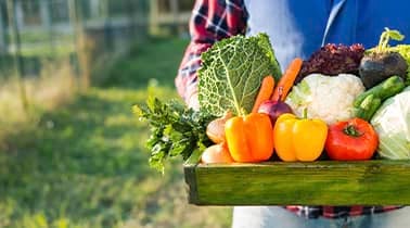 Comment bien commencer son jardin