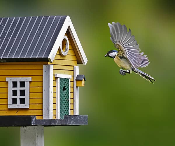 nichoir pour oiseaux