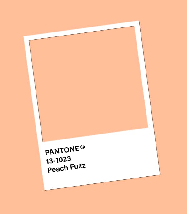 Couleur Tendance 2024