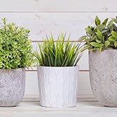 Aménagement décoratif