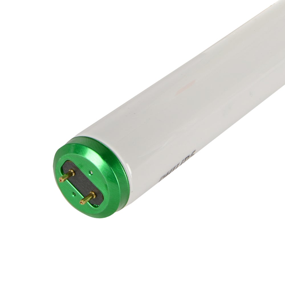 T12 daylight fluorescent bulbs discount