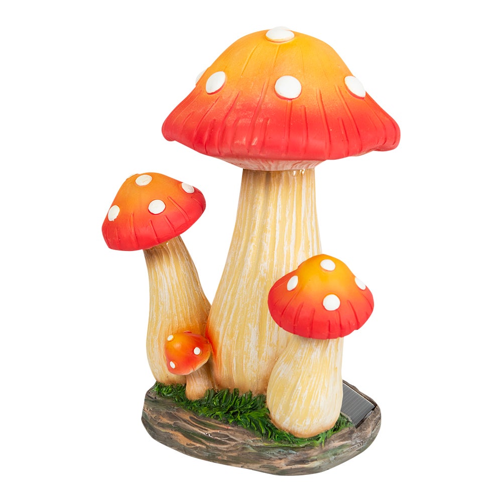 偉大な Solar Mushrooms - Canac その他
