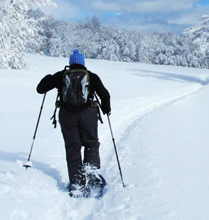 Winter Hobbies
